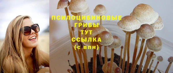 2c-b Снежногорск