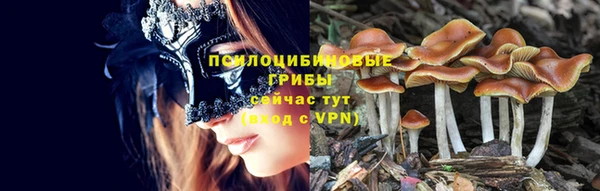 бутират Бородино