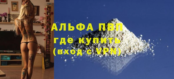 прущие грибы Волоколамск