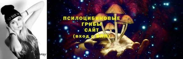 прущие грибы Волоколамск