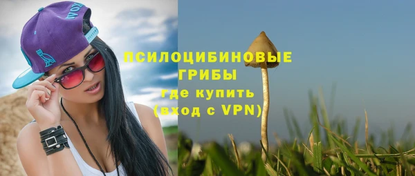 прущие грибы Волоколамск