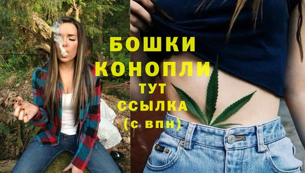 прущие грибы Волоколамск