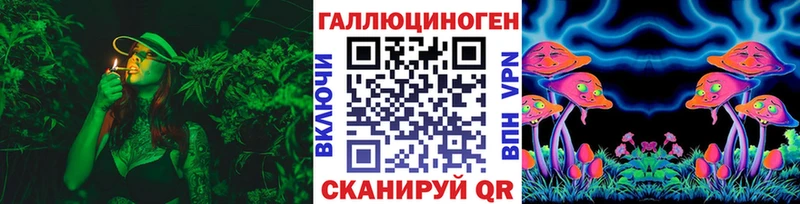 закладка  Заинск  Галлюциногенные грибы MAGIC MUSHROOMS 